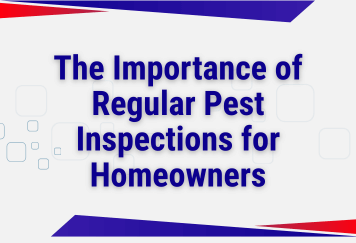 The Importance of Regular Pest Inspections for Homeowners