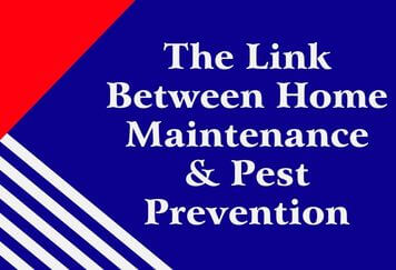 The Link Between Home Maintenance & Pest Prevention