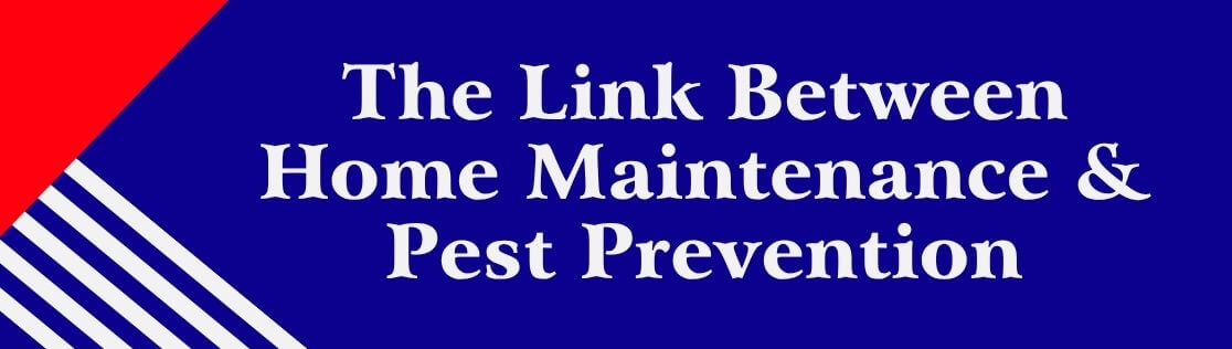 The Link Between Home Maintenance & Pest Prevention