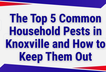 The Top 5 Common Household Pests in Knoxville and How to Keep Them Out
