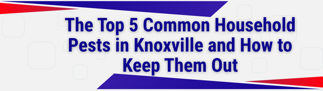 The Top 5 Common Household Pests in Knoxville and How to Keep Them Out
