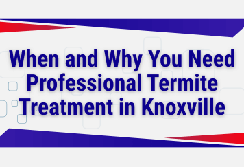 When and Why You Need Professional Termite Treatment in Knoxville