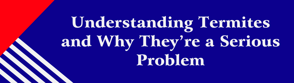 Understanding Termites and Why They’re a Serious Problem