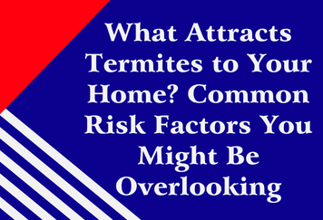 What Attracts Termites to Your Home? Common Risk Factors You Might Be Overlooking