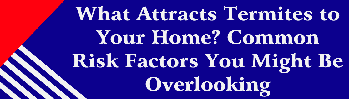 What Attracts Termites to Your Home? Common Risk Factors You Might Be Overlooking