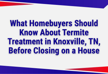What Homebuyers Should Know About Termite Treatment in Knoxville, TN, Before Closing on a House