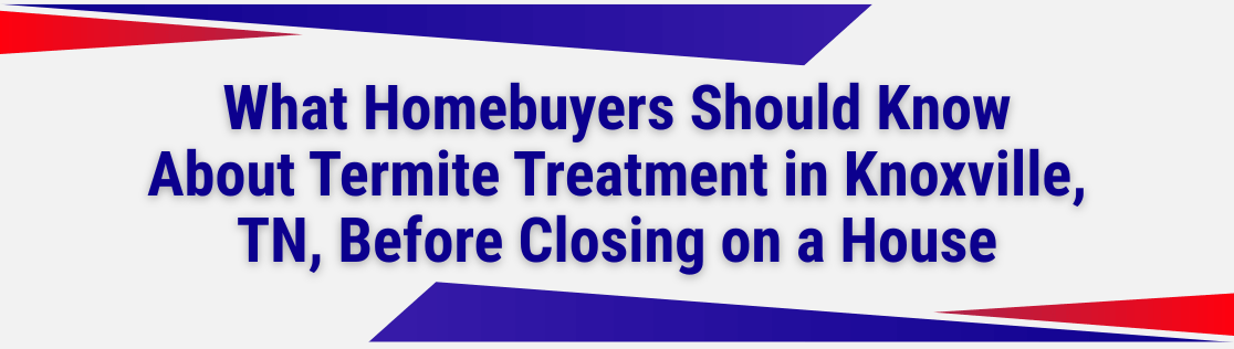 What Homebuyers Should Know About Termite Treatment in Knoxville, TN, Before Closing on a House