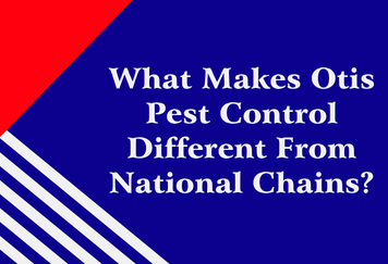 What Makes Otis Pest Control Different From National Chains?