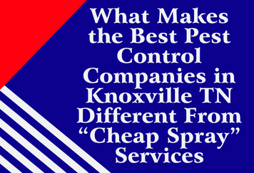 What Makes the Best Pest Control Companies in Knoxville TN Different From “Cheap Spray” Services