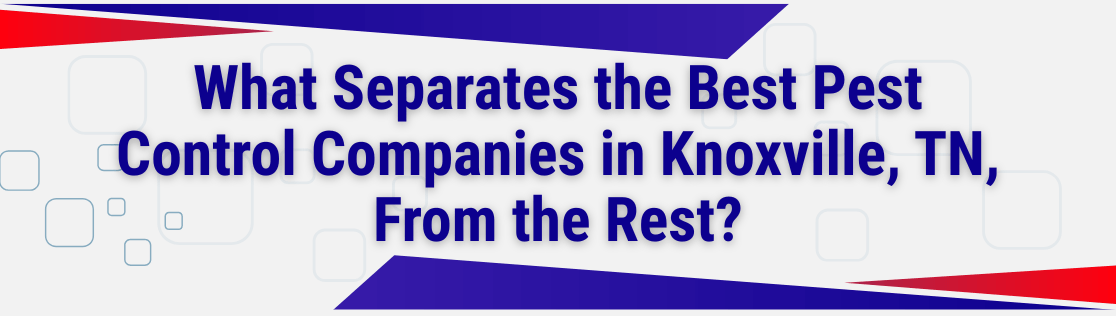 What Separates the Best Pest Control Companies in Knoxville, TN, From the Rest?