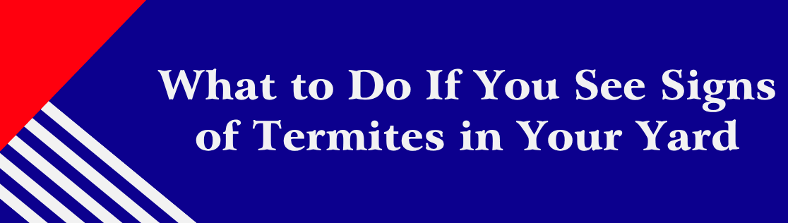 What to Do If You See Signs of Termites in Your Yard