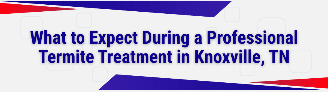 What to Expect During a Professional Termite Treatment in Knoxville, TN