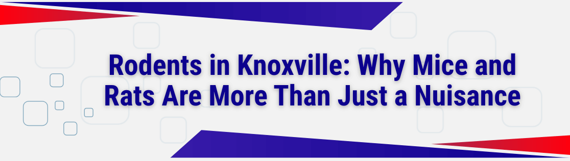 Rodents in Knoxville: Why Mice and Rats Are More Than Just a Nuisance