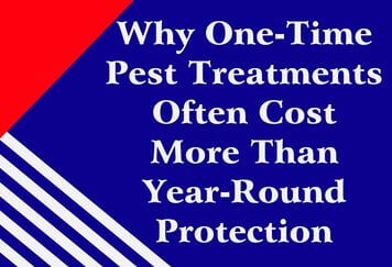 Why One-Time Pest Treatments Often Cost More Than Year-Round Protection