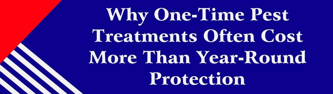 Why One-Time Pest Treatments Often Cost More Than Year-Round Protection
