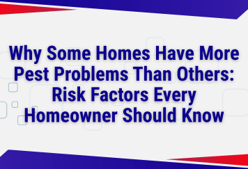 Why Some Homes Have More Pest Problems Than Others: Risk Factors Every Homeowner Should Know