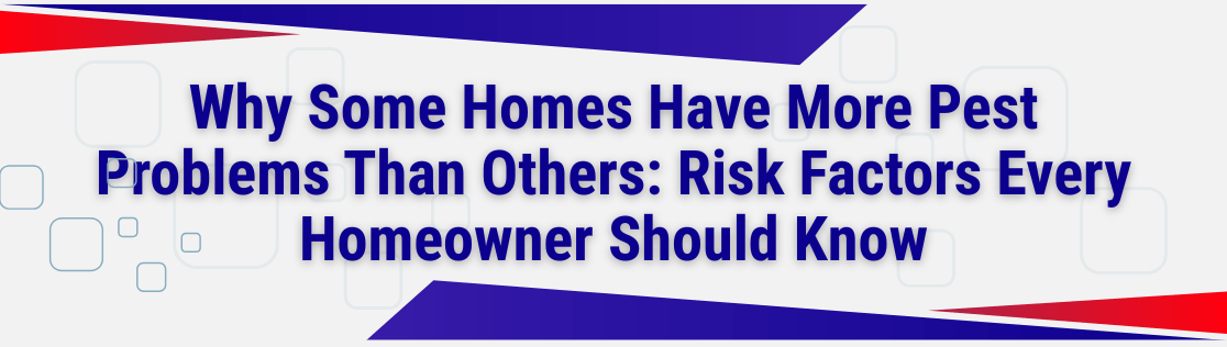 Why Some Homes Have More Pest Problems Than Others: Risk Factors Every Homeowner Should Know
