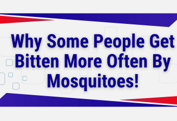 Pest Control Companies in Knoxville, TN, Explain Why Some People Get Bitten More Often By Mosquitoes!