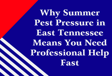 Why Summer Pest Pressure in East Tennessee Means You Need Professional Help Fast