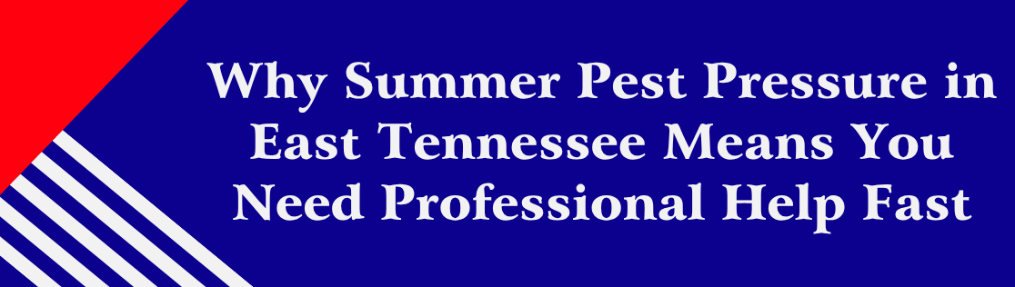 Why Summer Pest Pressure in East Tennessee Means You Need Professional Help Fast