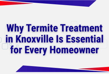 Why Termite Treatment in Knoxville Is Essential for Every Homeowner