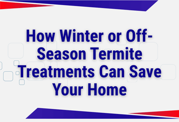 Why Winter or Off-Season Termite Treatments Can Save Your Home