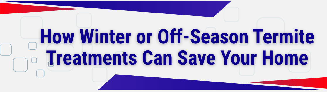 Why Winter or Off-Season Termite Treatments Can Save Your Home