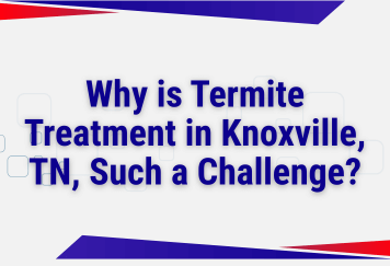 Why is Termite Treatment in Knoxville, TN, Such a Challenge?