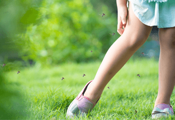 Share These Great Tips to Combat Mosquitos in Your Yard!
