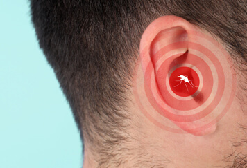 Why Mosquitoes Buzz in Your Ear & Other Fun Facts!