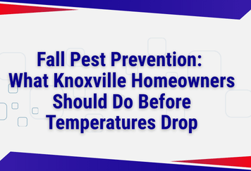 Fall Pest Prevention: What Knoxville Homeowners Should Do Before Temperatures Drop