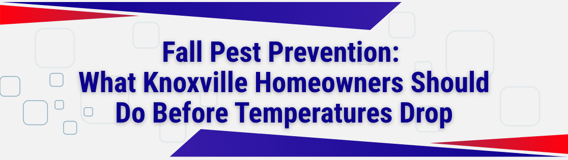 Fall Pest Prevention: What Knoxville Homeowners Should Do Before Temperatures Drop